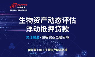 神州信息 金融科技全產(chǎn)業(yè)鏈綜合服務商